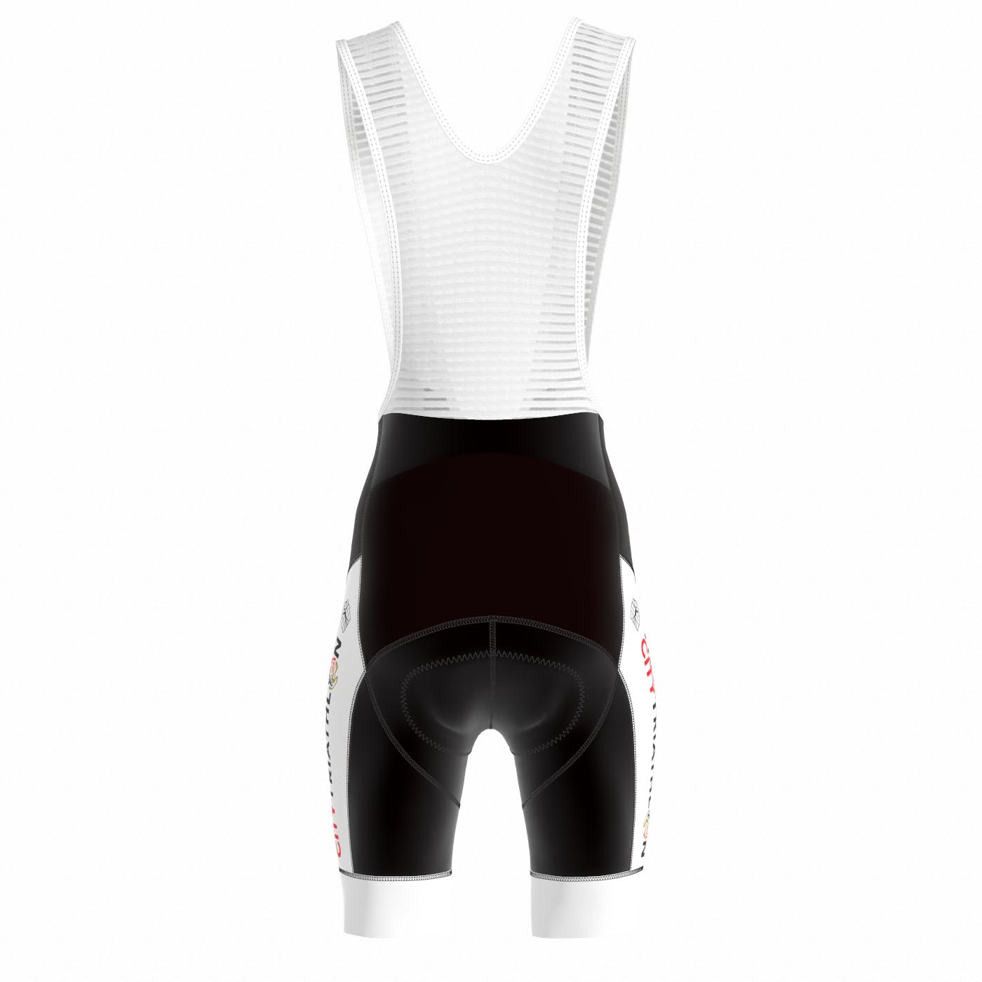 PRJ22-011974_Icon-Bibshorts-Men_back